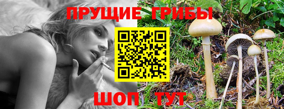Галлюциногенные грибы GOLDEN TEACHER  Псилоцибиновые грибы Psilocybe  Вход с VPN  Новотроицк 